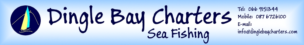 Dingle Bay Charters Sea Fishing