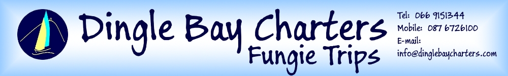 Fungie Trips